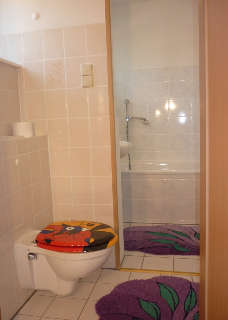 Gstezimmer Bad mit Dusche / WC